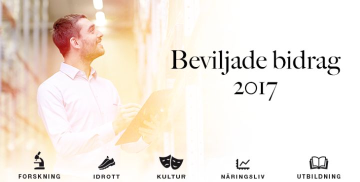 Beviljade bidrag 2017