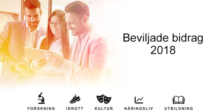 Beviljade bidrag 2018