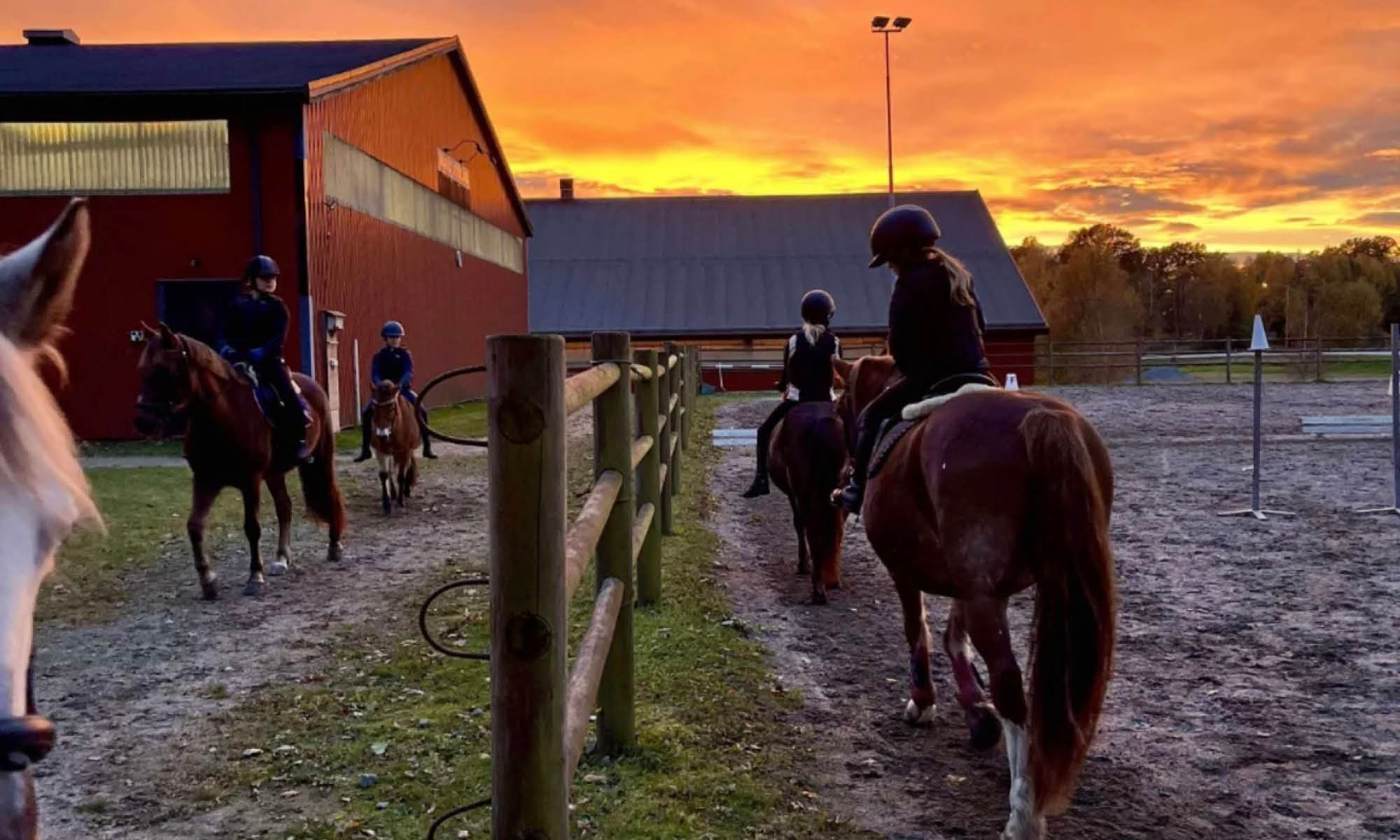 Rekordmånga föreningar får dela på nära 4,8 miljoner!